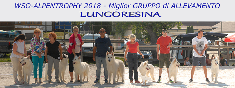 alpentrophy best breeding group, lungoresina, wso, pastore svizzero ianco, white swiss shepherd,berger blanc suisse